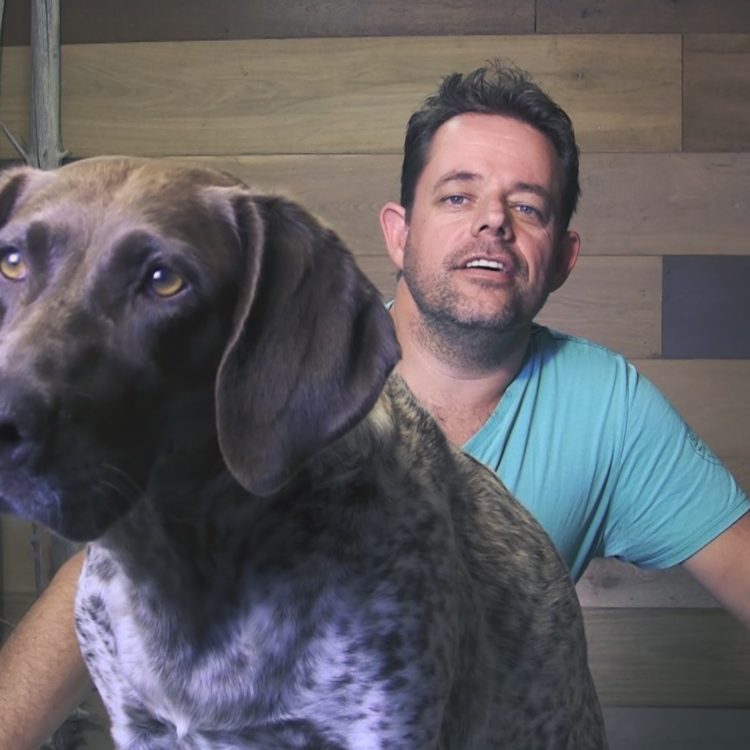 Vlog S2,E4 | Difference Between Laminate, Vinyl & SPC Flooring | It’s a Dog’s Life